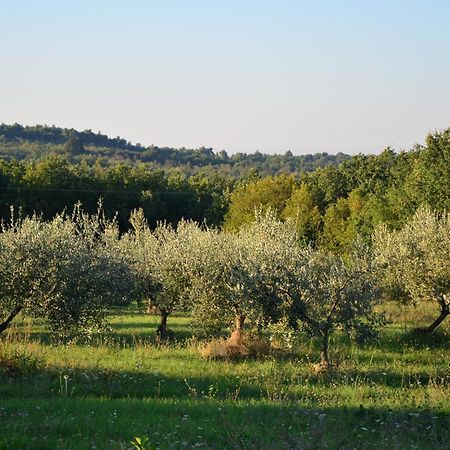Villa Olivetta By Istrian Country Houses Barat  Екстер'єр фото