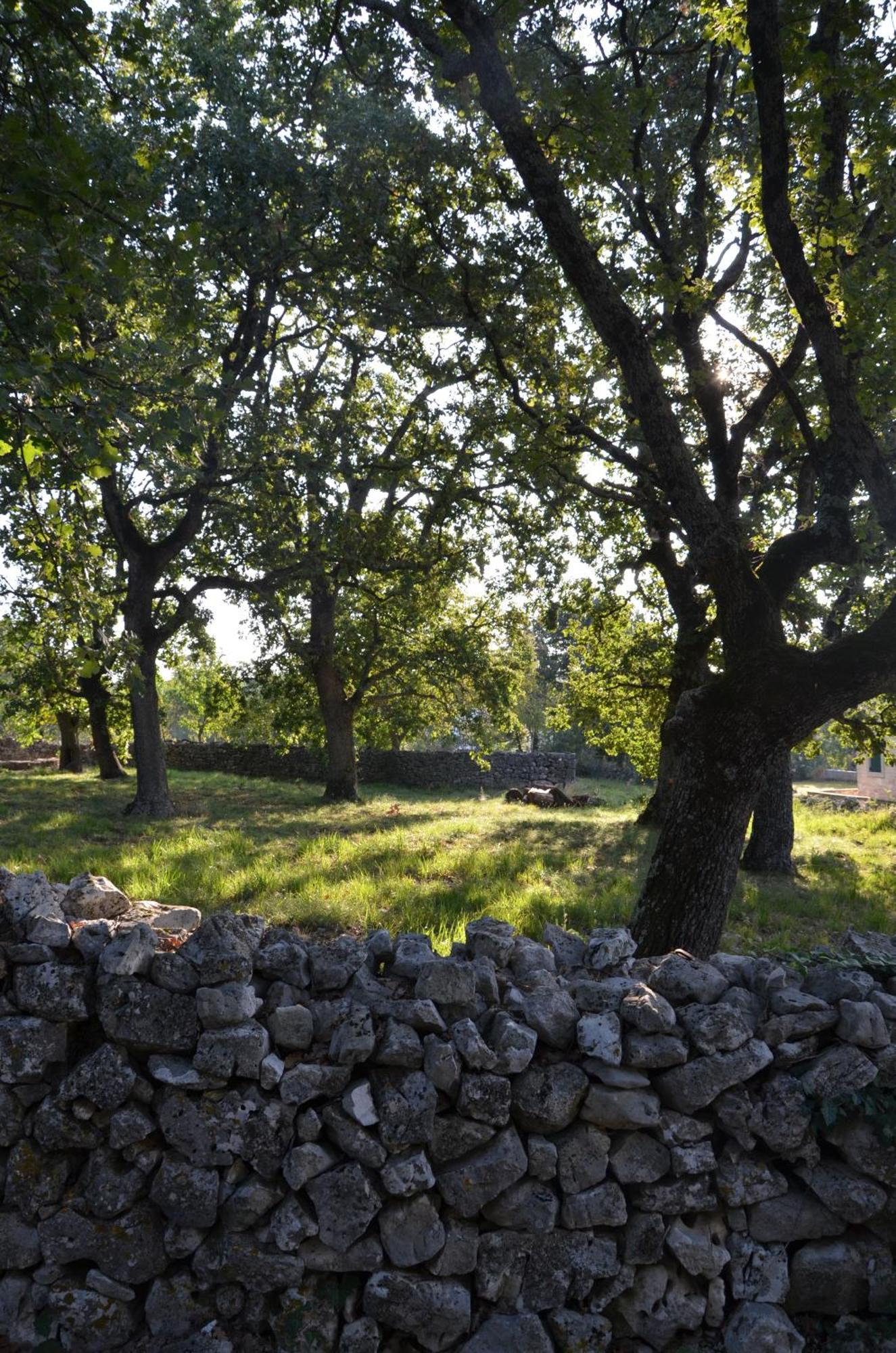 Villa Olivetta By Istrian Country Houses Barat  Екстер'єр фото