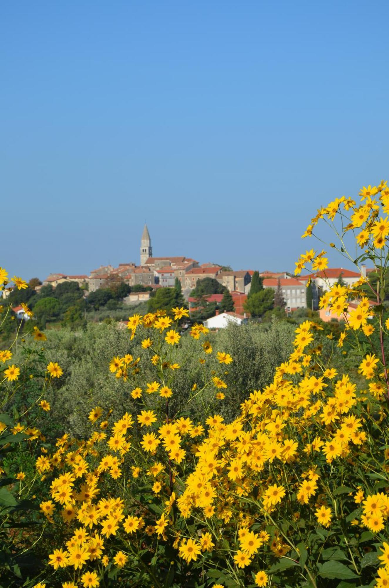 Villa Olivetta By Istrian Country Houses Barat  Екстер'єр фото