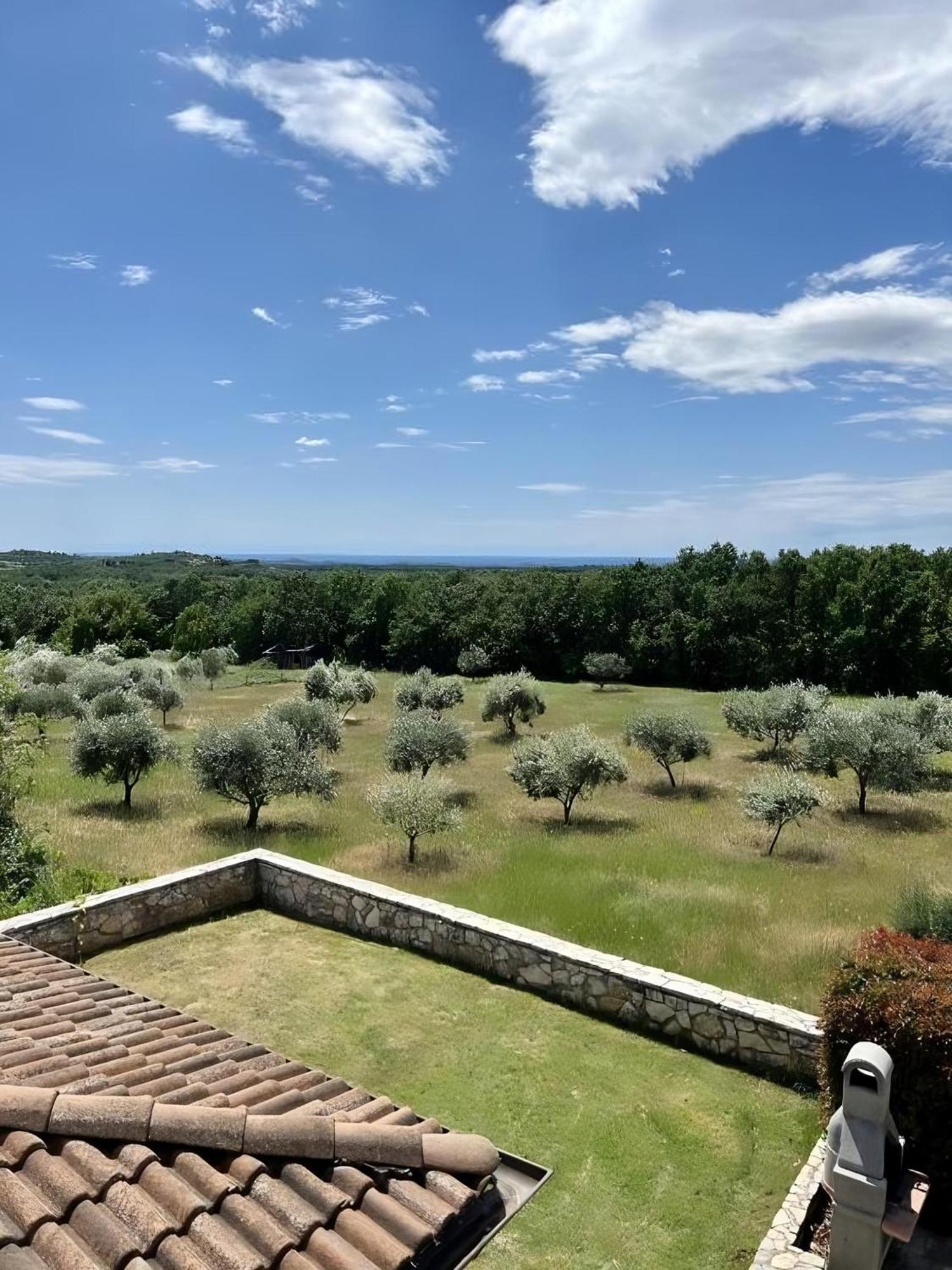 Villa Olivetta By Istrian Country Houses Barat  Екстер'єр фото