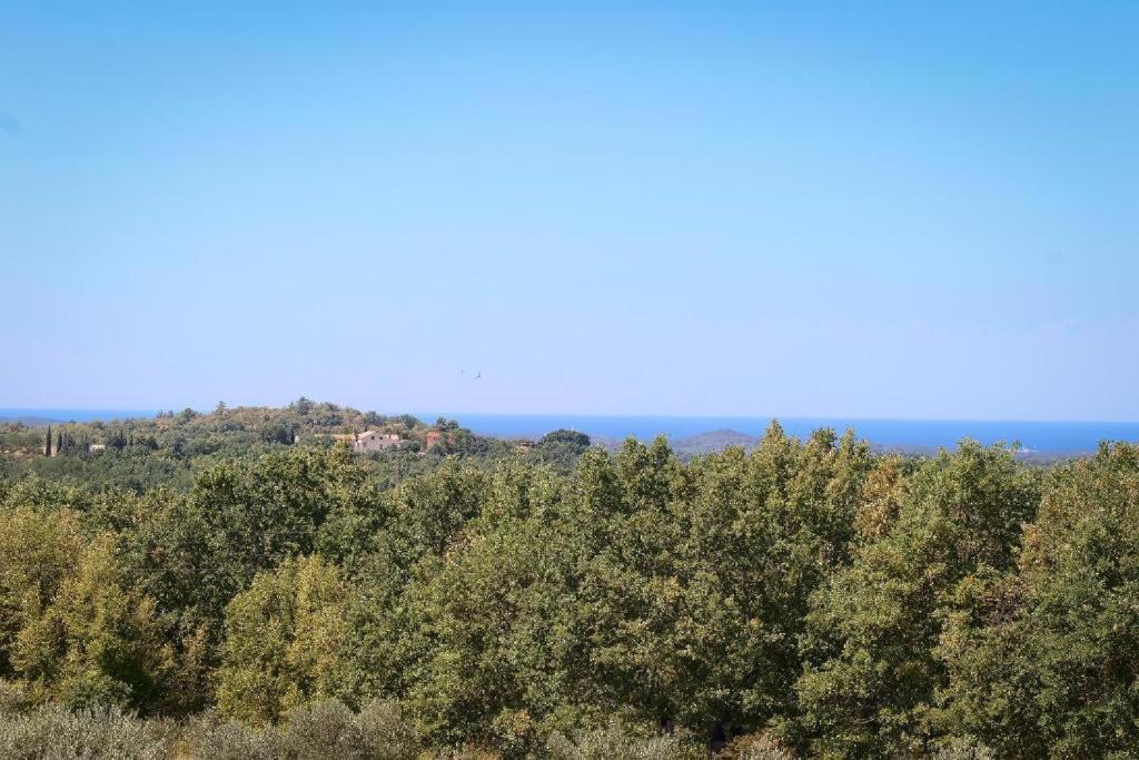 Villa Olivetta By Istrian Country Houses Barat  Екстер'єр фото